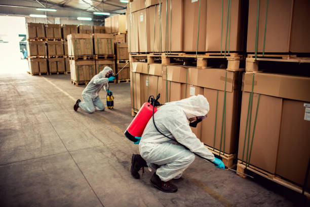 Best Residential Pest Control  in Monticello, UT