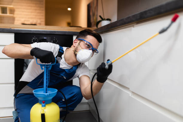 Best Affordable Pest Control Services  in Monticello, UT