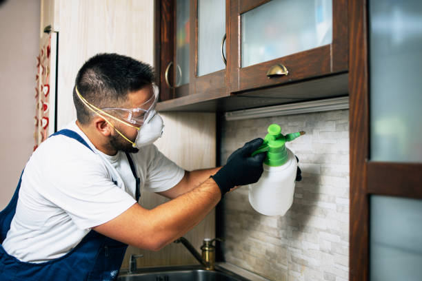 Best Best Pest Control Companies  in Monticello, UT