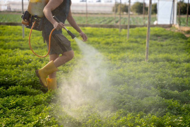 Best Commercial Pest Control Services  in Monticello, UT