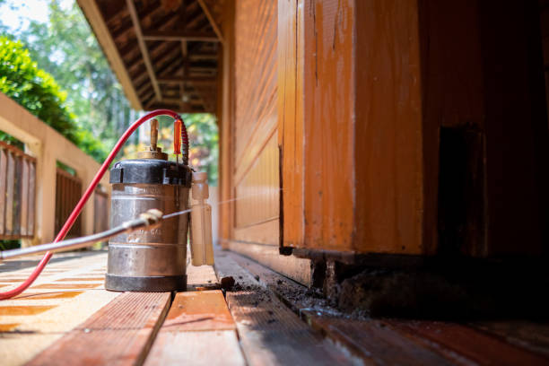 Best Pest Removal Services  in Monticello, UT