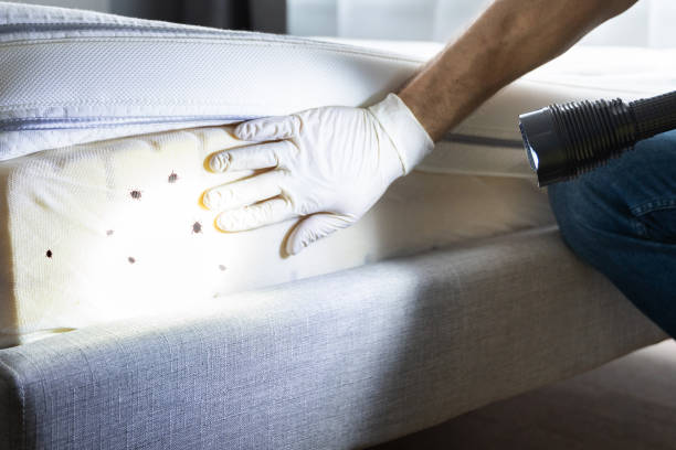 Best Pest Control Treatment  in Monticello, UT