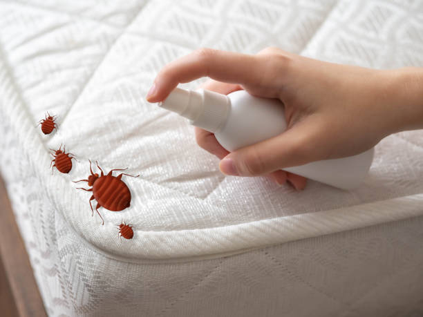 Best Best Pest Control Companies  in Monticello, UT