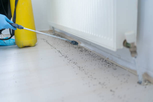 Best Local Pest Control Services  in Monticello, UT