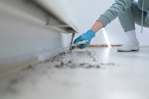 Best Residential Pest Control  in Monticello, UT