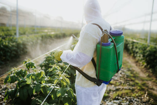  Monticello, UT Pest Control Pros